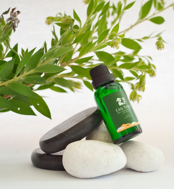 chai30ml - Chai nắp vặn nhỏ giọt - Tinh Dầu Tràm 5 Gân - 30ml - 1