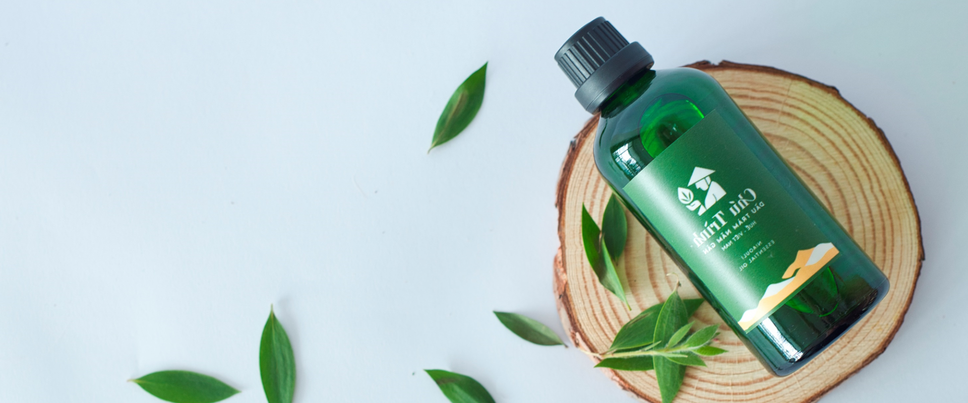 Tinh dau Chu Trinh 3