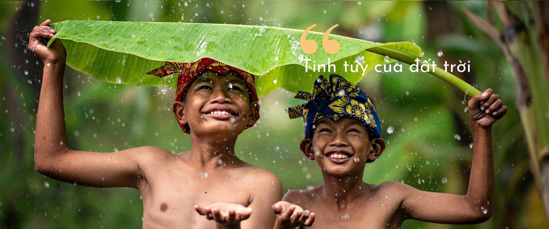 Tinh dau Chu Trinh 4